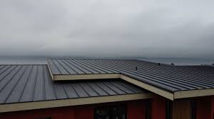 Best Rubber Roofing (EPDM, TPO)  in Mount Zion, IL